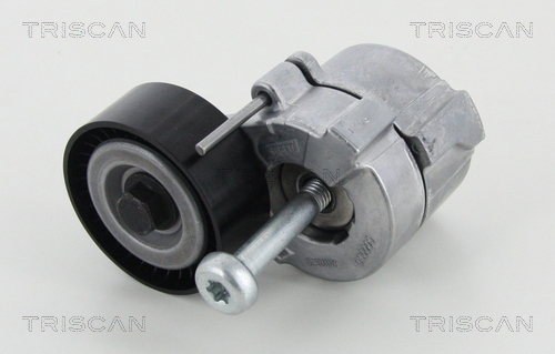 intinzator,curea transmisie 8641 103034 TRISCAN - Transmisie - kit accesorii intinzator,curea transmisie 8641 103034 TRISCAN - Transmisie - kit accesorii