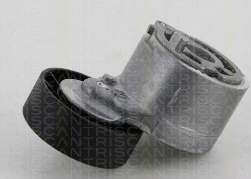 Intinzator curea, curea distributie 8641 103036 TRISCAN - Intinzator curea (sistem de intindere) Intinzator curea, curea distributie 8641 103036 TRISCAN - Intinzator curea (sistem de intindere)