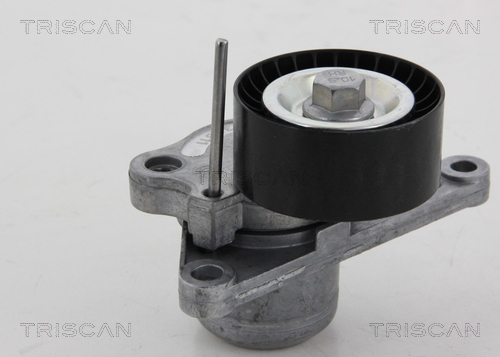 intinzator,curea transmisie 8641 103040 TRISCAN - Transmisie - kit accesorii intinzator,curea transmisie 8641 103040 TRISCAN - Transmisie - kit accesorii