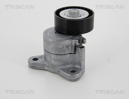 intinzator,curea transmisie 8641 103042 TRISCAN - Brat de tensionare