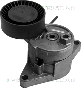 intinzator,curea transmisie 8641 113008 TRISCAN - Transmisie - kit accesorii intinzator,curea transmisie 8641 113008 TRISCAN - Transmisie - kit accesorii