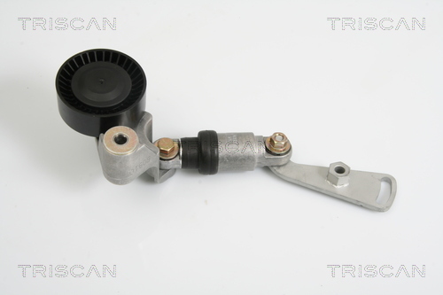 intinzator,curea transmisie 8641 113024 TRISCAN - Transmisie - kit accesorii intinzator,curea transmisie 8641 113024 TRISCAN - Transmisie - kit accesorii