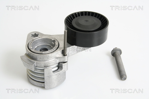 Intinzator curea, curea distributie 8641 113027 TRISCAN - Intinzator curea (sistem de intindere) Intinzator curea, curea distributie 8641 113027 TRISCAN - Intinzator curea (sistem de intindere)