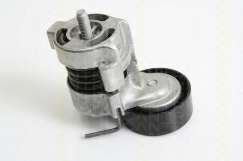 Intinzator curea, curea distributie 8641 113029 TRISCAN - Intinzator curea (sistem de intindere)
