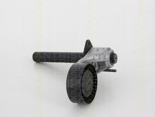 Intinzator curea, curea distributie 8641 113039 TRISCAN - Transmisie - kit accesorii Intinzator curea, curea distributie 8641 113039 TRISCAN - Transmisie - kit accesorii