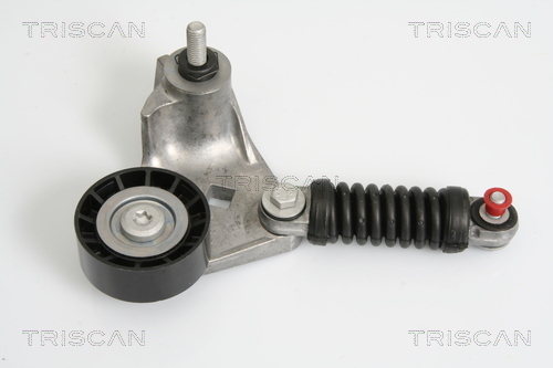Intinzator curea, curea distributie 8641 163008 TRISCAN - Transmisie - kit accesorii Intinzator curea, curea distributie 8641 163008 TRISCAN - Transmisie - kit accesorii
