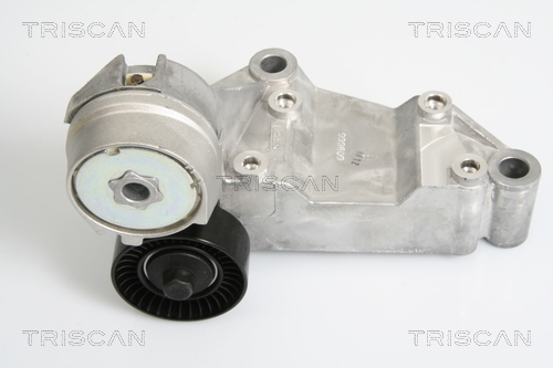 intinzator,curea transmisie 8641 163009 TRISCAN - Brat de tensionare intinzator,curea transmisie 8641 163009 TRISCAN - Brat de tensionare