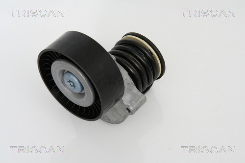 intinzator,curea transmisie 8641 233007 TRISCAN - Transmisie - kit accesorii intinzator,curea transmisie 8641 233007 TRISCAN - Transmisie - kit accesorii