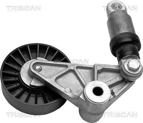 Intinzator curea, curea distributie 8641 243004 TRISCAN - Intinzator curea (sistem de intindere) Intinzator curea, curea distributie 8641 243004 TRISCAN - Intinzator curea (sistem de intindere)