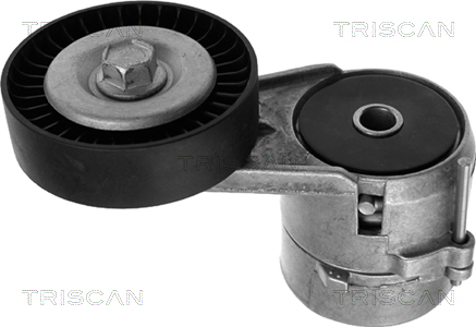 intinzator,curea transmisie 8641 243005 TRISCAN - Transmisie - kit accesorii intinzator,curea transmisie 8641 243005 TRISCAN - Transmisie - kit accesorii