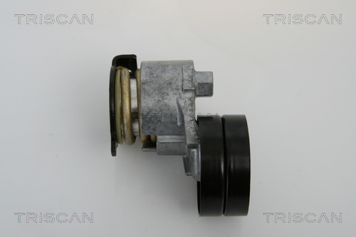 intinzator,curea transmisie 8641 253005 TRISCAN - Transmisie - kit accesorii intinzator,curea transmisie 8641 253005 TRISCAN - Transmisie - kit accesorii