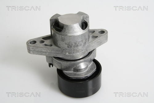 intinzator,curea transmisie 8641 253008 TRISCAN - Transmisie - kit accesorii intinzator,curea transmisie 8641 253008 TRISCAN - Transmisie - kit accesorii