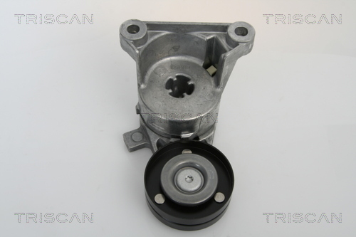 intinzator,curea transmisie 8641 273003 TRISCAN - Brat de tensionare intinzator,curea transmisie 8641 273003 TRISCAN - Brat de tensionare