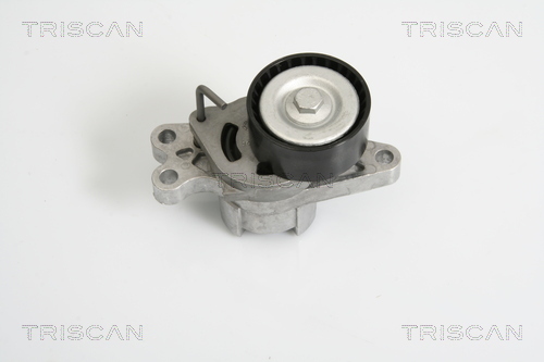 Intinzator curea, curea distributie 8641 283004 TRISCAN - Intinzator curea (sistem de intindere)
