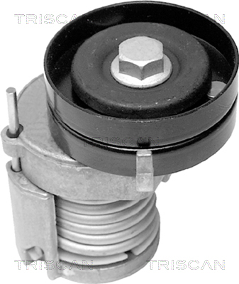 intinzator,curea transmisie 8641 291003 TRISCAN - Brat de tensionare intinzator,curea transmisie 8641 291003 TRISCAN - Brat de tensionare