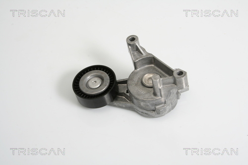 intinzator,curea transmisie 8641 293017 TRISCAN - Transmisie - kit accesorii intinzator,curea transmisie 8641 293017 TRISCAN - Transmisie - kit accesorii
