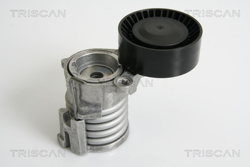 Intinzator curea, curea distributie 8641 293025 TRISCAN - Intinzator curea (sistem de intindere) Intinzator curea, curea distributie 8641 293025 TRISCAN - Intinzator curea (sistem de intindere)