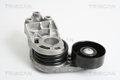 Intinzator curea, curea distributie 8641 293027 TRISCAN - Transmisie - kit accesorii Intinzator curea, curea distributie 8641 293027 TRISCAN - Transmisie - kit accesorii