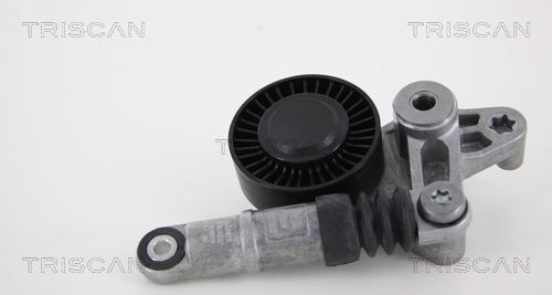 Intinzator curea, curea distributie 8641 293038 TRISCAN - Intinzator curea (sistem de intindere) Intinzator curea, curea distributie 8641 293038 TRISCAN - Intinzator curea (sistem de intindere)