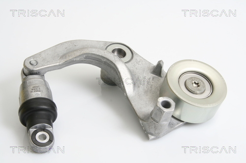 Intinzator curea, curea distributie 8641 403001 TRISCAN - Intinzator curea (sistem de intindere)
