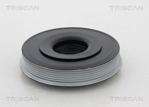 Fulie curea, arbore cotit 8643 10001 TRISCAN - Fulie curea Fulie curea, arbore cotit 8643 10001 TRISCAN - Fulie curea