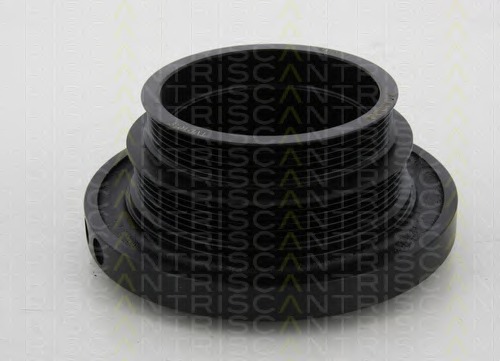 Fulie curea, arbore cotit 8643 11001 TRISCAN - Fulie curea