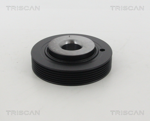 Fulie curea, arbore cotit 8643 28012 TRISCAN - Fulie curea Fulie curea, arbore cotit 8643 28012 TRISCAN - Fulie curea