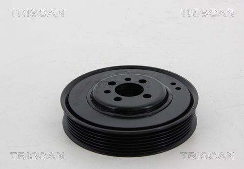 Fulie curea, arbore cotit 8643 29003 TRISCAN - Fulie curea Fulie curea, arbore cotit 8643 29003 TRISCAN - Fulie curea