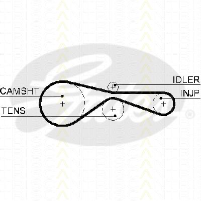 Curea de distributie 8645 5614xs TRISCAN - Curea distributie Curea de distributie 8645 5614xs TRISCAN - Curea distributie