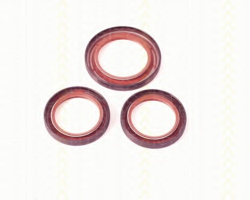 Simering, ax cu came 8648 10008 TRISCAN - Garnituri Simering, ax cu came 8648 10008 TRISCAN - Garnituri