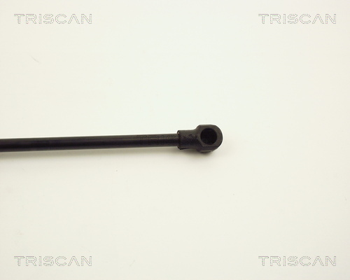 Amortizor capota 8710 11107 TRISCAN - Elemente/piese montaj