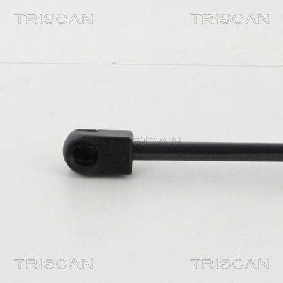 Amortizor capota 8710 25105 TRISCAN - Elemente/piese montaj Amortizor capota 8710 25105 TRISCAN - Elemente/piese montaj