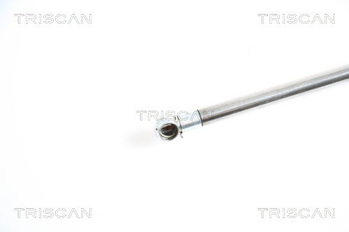 Amortizor portbagaj 8710 25227 TRISCAN - Elemente/piese montaj
