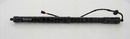 Amortizor portbagaj 8710 292193 TRISCAN - Elemente/piese montaj
