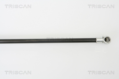 Amortizor portbagaj 8710 50241 TRISCAN - Elemente/piese montaj