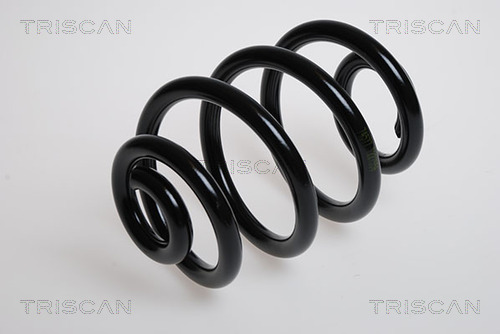 Arc spiral 8750 1149 TRISCAN - Arc spirala Arc spiral 8750 1149 TRISCAN - Arc spirala