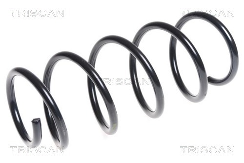 Arc spiral 8750 1215 TRISCAN - Arc spirala Arc spiral 8750 1215 TRISCAN - Arc spirala