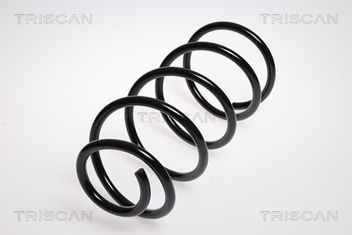 Arc spiral 8750 16042 TRISCAN - Arc spirala Arc spiral 8750 16042 TRISCAN - Arc spirala