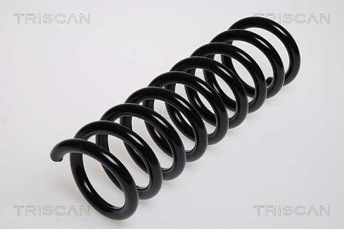 Arc spiral 8750 2346 TRISCAN - Arc spirala Arc spiral 8750 2346 TRISCAN - Arc spirala