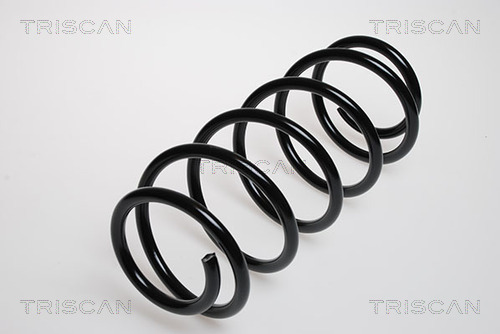 Arc spiral 8750 2479 TRISCAN - Arc spirala Arc spiral 8750 2479 TRISCAN - Arc spirala