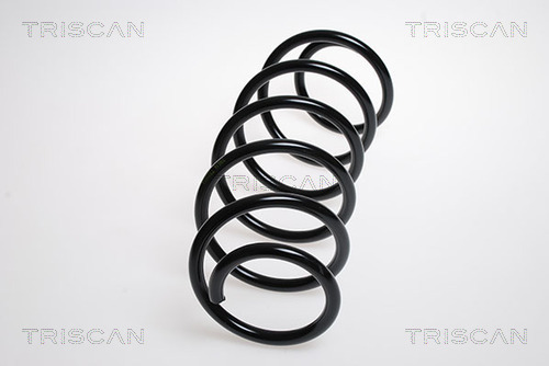 Arc spiral 8750 28106 TRISCAN - Arc spirala Arc spiral 8750 28106 TRISCAN - Arc spirala