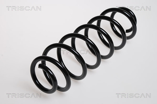 Arc spiral 8750 29037 TRISCAN - Arc spirala Arc spiral 8750 29037 TRISCAN - Arc spirala