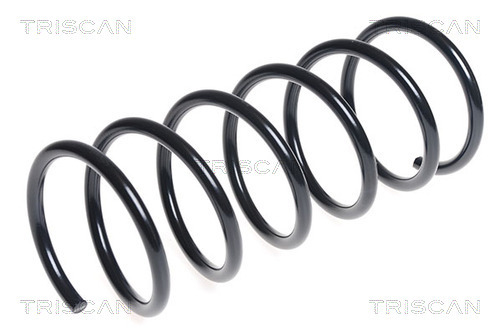 Arc spiral 8750 4371 TRISCAN - Arc spirala Arc spiral 8750 4371 TRISCAN - Arc spirala
