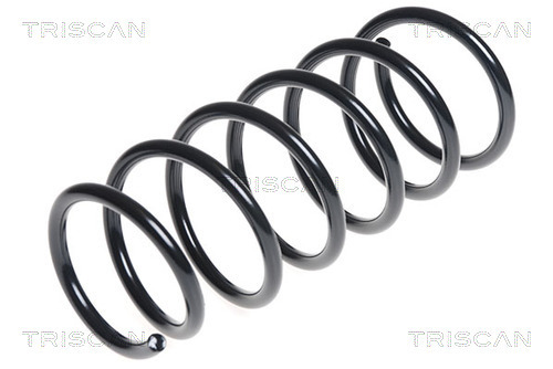 Arc spiral 8750 4373 TRISCAN - Arc spirala Arc spiral 8750 4373 TRISCAN - Arc spirala