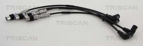 Set cablaj aprinder 8860 29031 TRISCAN - Fisa bujie