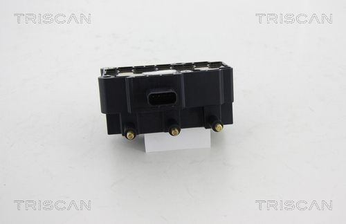 bobina de inductie 8860 80005 TRISCAN - Bobina inductie bobina de inductie 8860 80005 TRISCAN - Bobina inductie