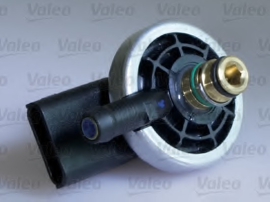 Injector 348010 VALEO - Injector / duza injectie / tija injector