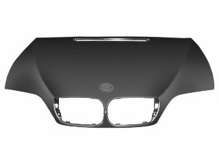 Capota motor 0649660 VAN WEZEL - Capota fata/piese/izolare fonica