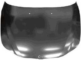 Capota motor 0655660 VAN WEZEL - Capota fata/piese/izolare fonica