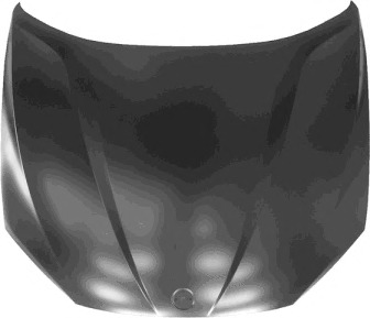 Capota motor 0678660 VAN WEZEL - Capota fata/piese/izolare fonica